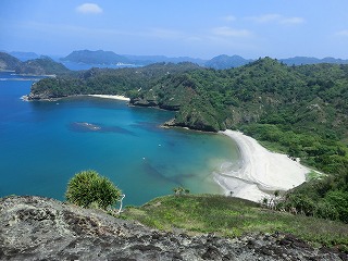 小笠原